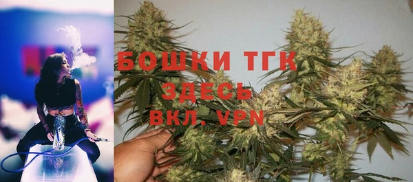хмурый Лиски