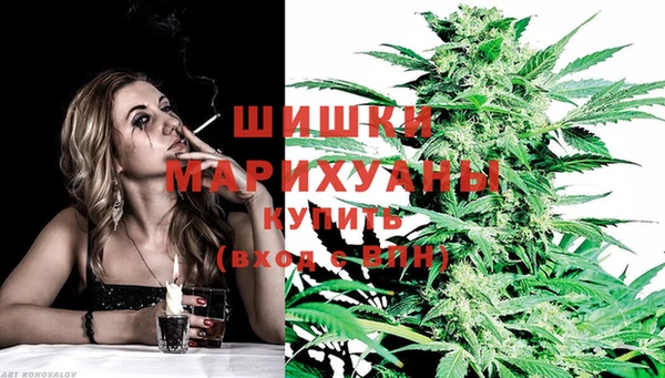 хмурый Лиски