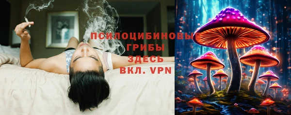 молекула духа Липки